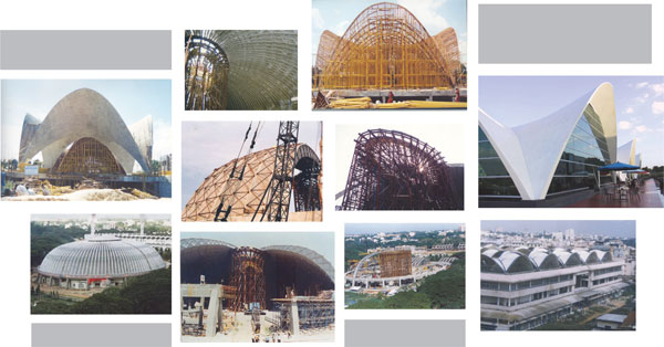 Shell Structures: A Thin Covering with Extraordinary Strength